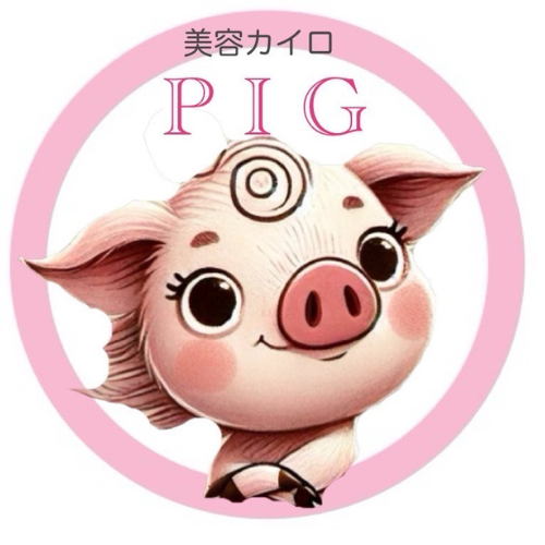 美容カイロPiG